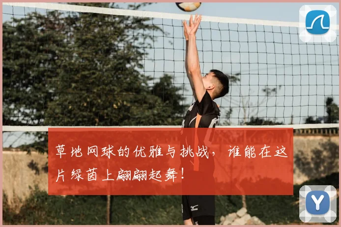 草地网球的优雅与挑战,谁能在这片绿茵上翩翩起舞!